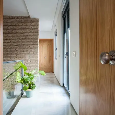 Rg Duplex San Bernardo